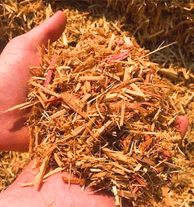 Cedar-Mulch